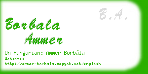 borbala ammer business card